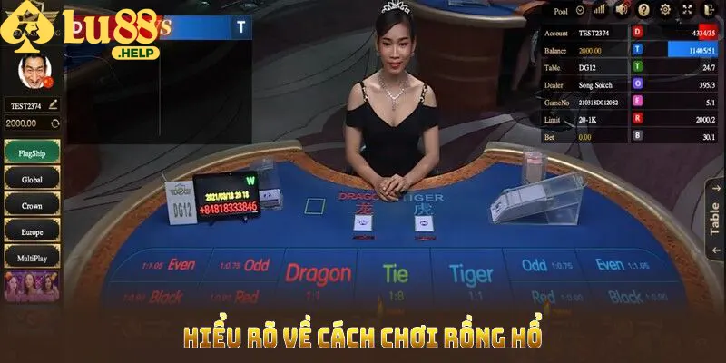 Hiểu rõ về cách chơi Rồng Hổ để dễ dàng vào game 